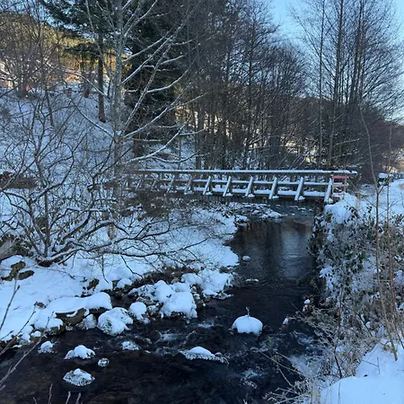 Tal & Tanne In Baiersbronn, Ideal Fuer Familien, Wanderer & Naturliebhaber Апартаменты