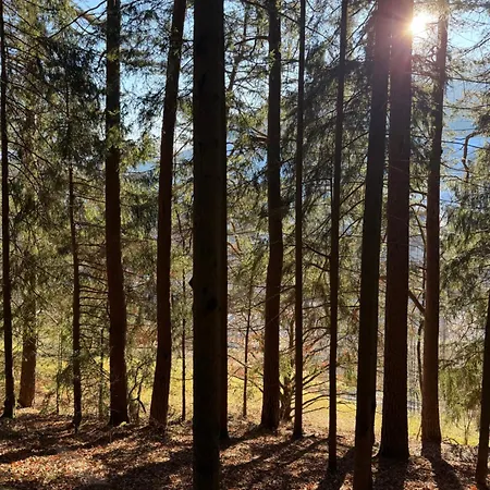 Tal & Tanne In Baiersbronn, Ideal Fuer Familien, Wanderer & Naturliebhaber Апартаменты *